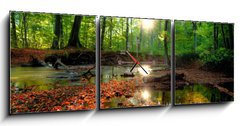 Obraz s hodinami   Autumn forrest, 150 x 50 cm