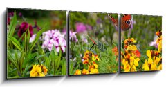 Obraz s hodinami 3D tdln - 150 x 50 cm F_BM270234629 - Schmetterling 578