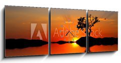 Obraz s hodinami 3D tdln - 150 x 50 cm F_BM27024227 - the tree