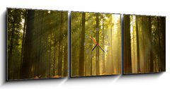 Obraz s hodinami 3D tdln - 150 x 50 cm F_BM27621934 - Beautiful Forest - Krsn les