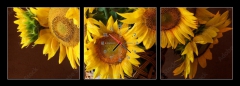 Obraz s hodinami   sunflover, 150 x 50 cm
