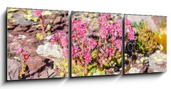 Obraz s hodinami 3D tdln - 150 x 50 cm F_BM280902351 - Berg