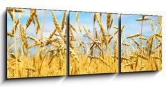 Obraz s hodinami 3D tdln - 150 x 50 cm F_BM2830347 - grain field