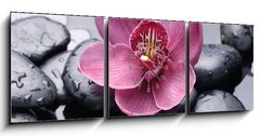 Obraz s hodinami   Macro of red orchid on stone with water drops, 150 x 50 cm