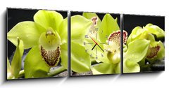 Obraz s hodinami 3D tdln - 150 x 50 cm F_BM28704668 - Wellness concept with zen stone and orchid