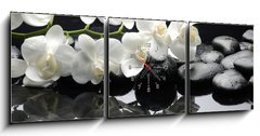 Obraz s hodinami 3D tdln - 150 x 50 cm F_BM28907767 - Close up white orchid with stone water drops