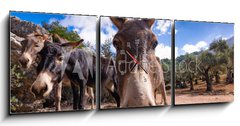 Obraz s hodinami 3D tdln - 150 x 50 cm F_BM290191990 - Majorka