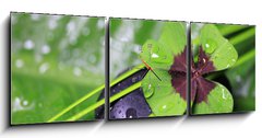 Obraz s hodinami 3D tdln - 150 x 50 cm F_BM29036360 - Im Einklang mit der Natur - V souladu s prodou