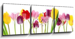 Obraz s hodinami 3D tdln - 150 x 50 cm F_BM29490982 - Spring tulip flowers in a row