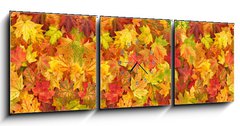 Obraz s hodinami 3D tdln - 150 x 50 cm F_BM295252486 - Maple leaves Autumn red yellow green floral background banner