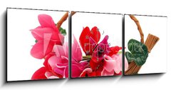 Obraz s hodinami 3D tdln - 150 x 50 cm F_BM29677121 - Colourful cyclamen flowers in the basket