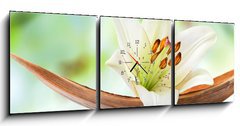 Obraz s hodinami 3D tdln - 150 x 50 cm F_BM29781120 - Beautiful white lily flower on a coco palm leaf