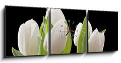 Obraz s hodinami 3D tdln - 150 x 50 cm F_BM29886850 - Tulips