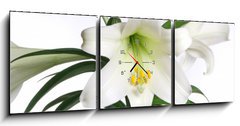 Obraz s hodinami   easter lily, 150 x 50 cm
