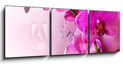 Obraz s hodinami 3D tdln - 150 x 50 cm F_BM30014255 - Orchid Flower border design