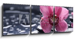 Obraz s hodinami 3D tdln - 150 x 50 cm F_BM30028314 - still life with pebble and macro of orchid with water drops