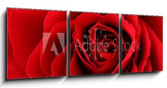 Obraz s hodinami 3D tdln - 150 x 50 cm F_BM30035438 - Rote Rose