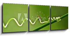 Obraz s hodinami 3D tdln - 150 x 50 cm F_BM30109115 - An ivy plant