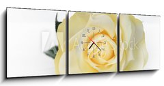 Obraz s hodinami 3D tdln - 150 x 50 cm F_BM30527713 - Single White Rose