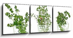 Obraz s hodinami   thymian, 150 x 50 cm
