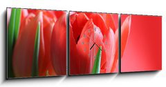 Obraz s hodinami   wiosna, 150 x 50 cm