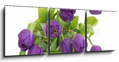 Obraz s hodinami 3D tdln - 150 x 50 cm F_BM30636217 - bunch of violet tulips