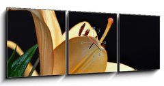 Obraz s hodinami   pistils d iris, 150 x 50 cm