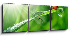 Obraz s hodinami 3D tdln - 150 x 50 cm F_BM30860001 - fresh morning dew and ladybird