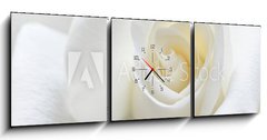 Obraz s hodinami 3D tdln - 150 x 50 cm F_BM31158130 - Soft white rose