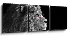 Obraz s hodinami 3D tdln - 150 x 50 cm F_BM31175850 - Stunning facial portrait of male lion on black background in bla - Ohromujc obliej portrt lva na ernm pozad v bla