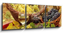 Obraz s hodinami   Wine and Grapes in the Vineyard, 150 x 50 cm