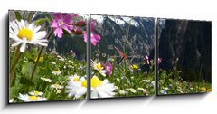 Obraz s hodinami 3D tdln - 150 x 50 cm F_BM31412665 - Blumenwiese mit Gebirge im Hintergrund