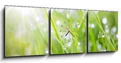 Obraz s hodinami   sparkling grass, 150 x 50 cm