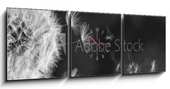 Obraz s hodinami 3D tdln - 150 x 50 cm F_BM317106413 - White dandelion on blue