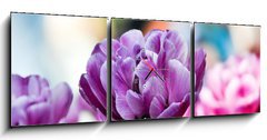 Obraz s hodinami 3D tdln - 150 x 50 cm F_BM31786414 - Lila tulpe