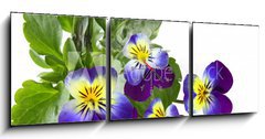 Obraz s hodinami 3D tdln - 150 x 50 cm F_BM31960415 - Pansy