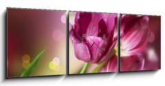 Obraz s hodinami   Flowers. Anniversary Card Design, 150 x 50 cm