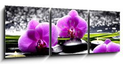 Obraz s hodinami 3D tdln - 150 x 50 cm F_BM32250117 - Spa still life with set of pink orchid and stones reflection