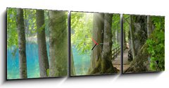 Obraz s hodinami 3D tdln - 150 x 50 cm F_BM32267229 - Sonnenschein im Wald neben klarem See