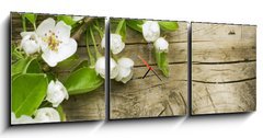 Obraz s hodinami   Spring Blossom over wooden background, 150 x 50 cm