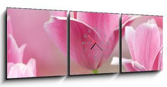 Obraz s hodinami   Pink tulips close up, 150 x 50 cm