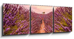 Obraz s hodinami 3D tdln - 150 x 50 cm F_BM328521401 - Dramatic sunset landscape. Tree in lavender field at sunset in Provence, France
