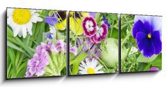 Obraz s hodinami   Abstract June plants and flowers background, 150 x 50 cm