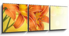 Obraz s hodinami   Yellow Lily Flower border design, 150 x 50 cm