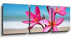 Obraz s hodinami 3D tdln - 150 x 50 cm F_BM33453056 - Plumeria flowers on the beach - Plumeria kvtiny na pli