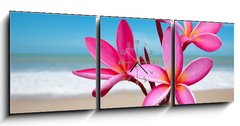 Obraz s hodinami 3D tdln - 150 x 50 cm F_BM33453056 - Plumeria flowers on the beach