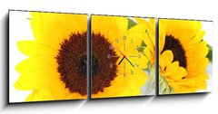 Obraz s hodinami 3D tdln - 150 x 50 cm F_BM33524592 - Sonnenblumen