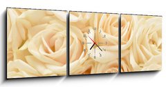 Obraz s hodinami 3D tdln - 150 x 50 cm F_BM34255853 - Beautiful white rose background