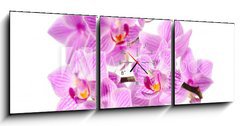 Obraz s hodinami   red orchid, 150 x 50 cm