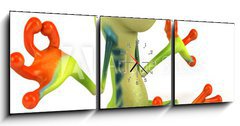 Obraz s hodinami 3D tdln - 150 x 50 cm F_BM34469495 - Grenouille zen